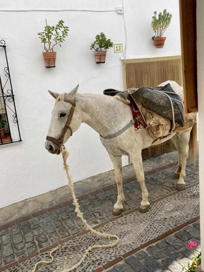 Casa Rural Villa Sila Benalauría Eksteriør bilde